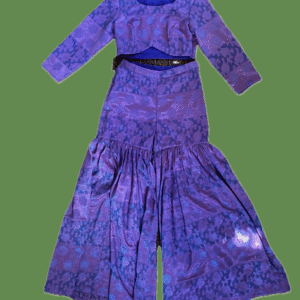 Upcycled Saree Co-ord