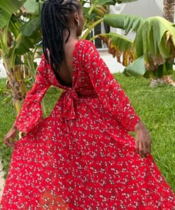 Alternative view of Scarlet Horizon